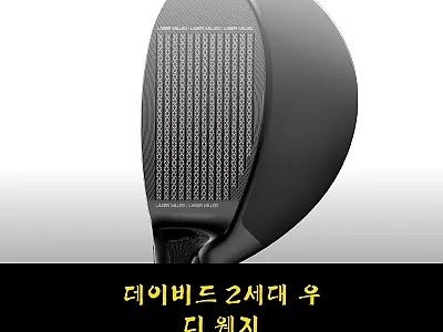 데이비드 2세대 우디 웨지 사용후기와 관련 이미지